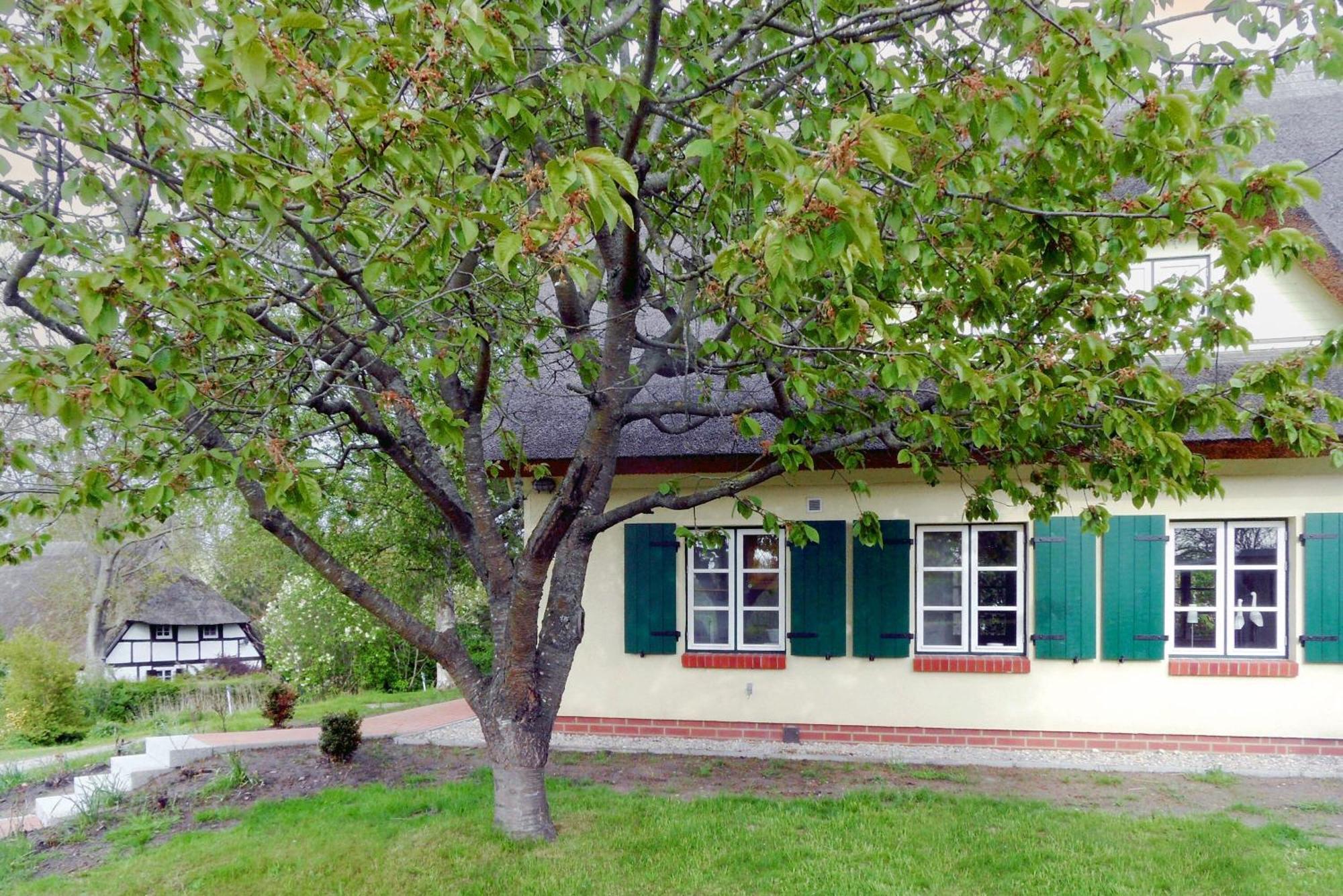 Ferienhaus Preetz 1A - Idylle Unter Reet Burtevitz Екстер'єр фото