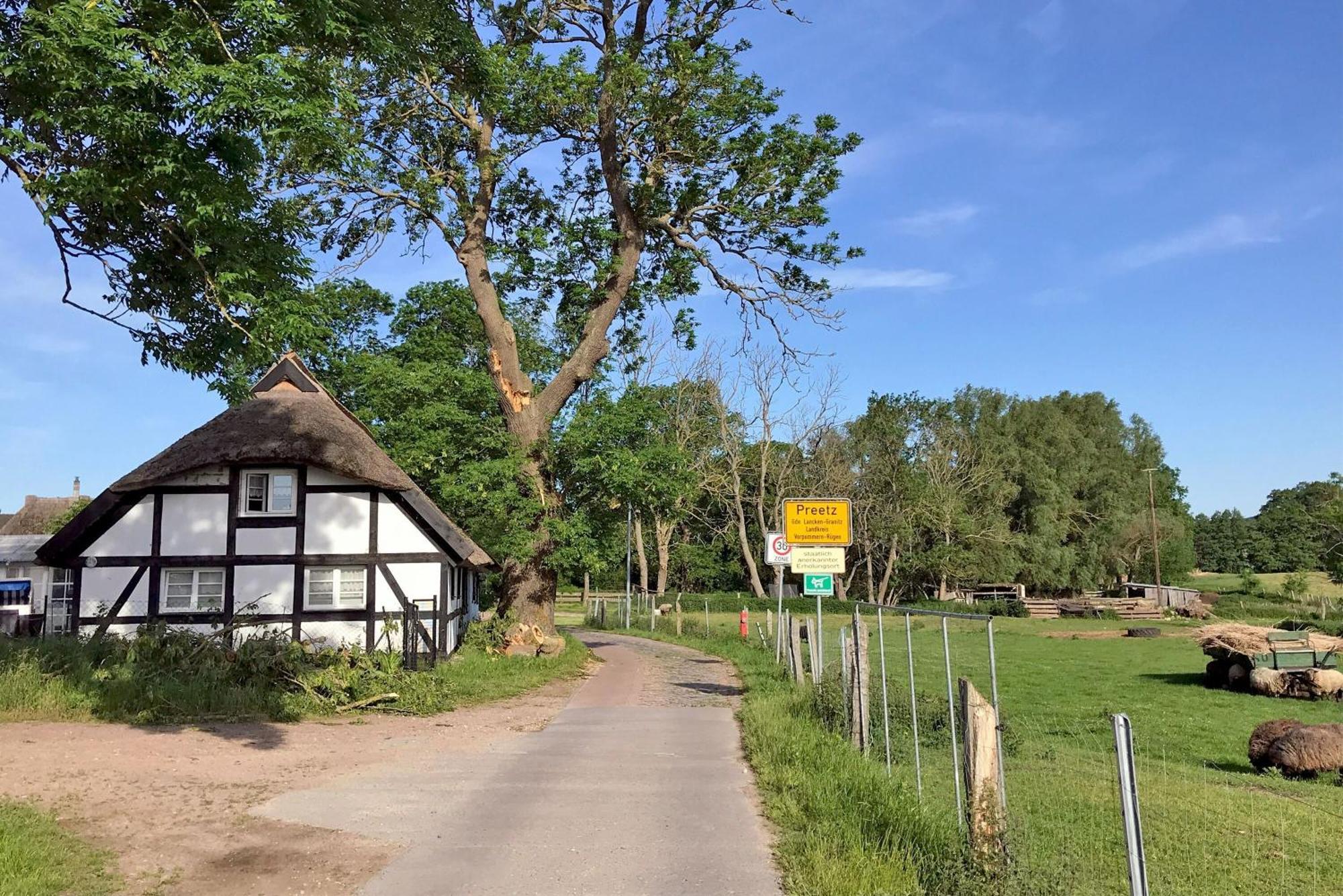 Ferienhaus Preetz 1A - Idylle Unter Reet Burtevitz Екстер'єр фото
